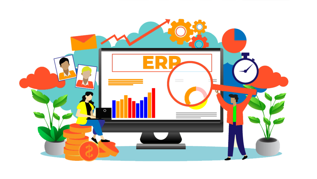 custom erp application development